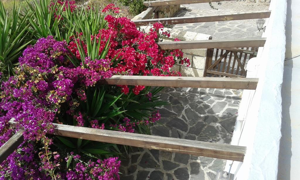 Casapancho 1 Y 2 - Casa Rural - Fasnia - Tenerife Ngoại thất bức ảnh